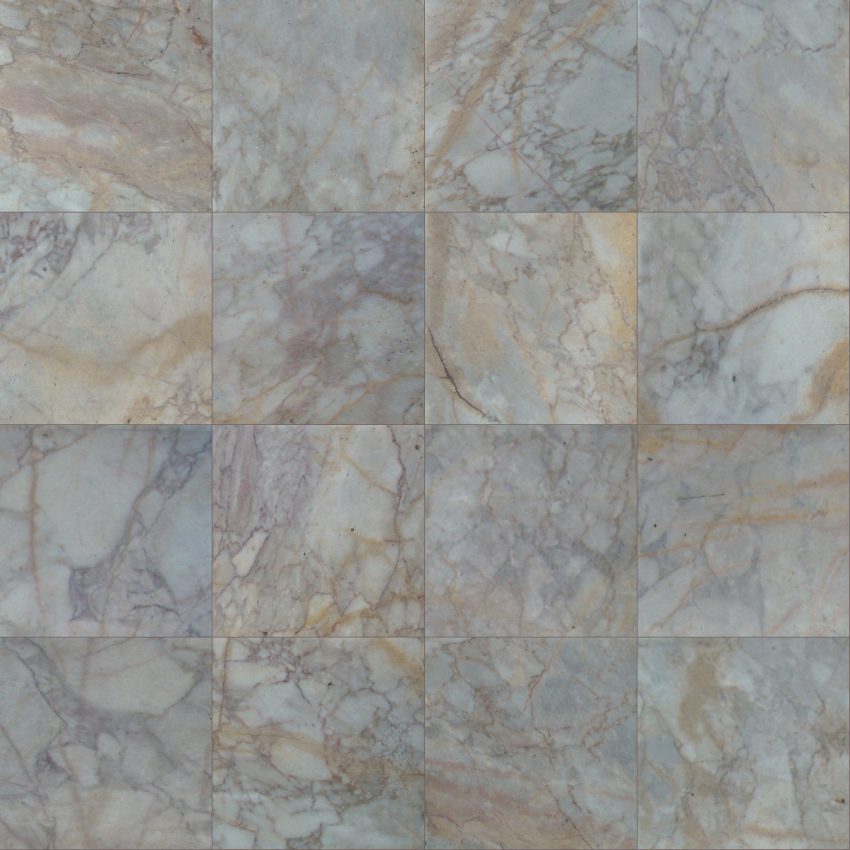 Vein traceries of marble from Gujarat India