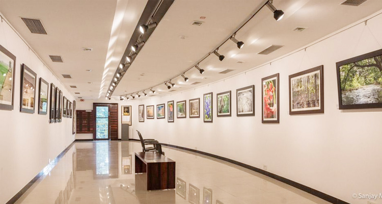 jehangir-art-gallery-mumbai-indian-tourism-history