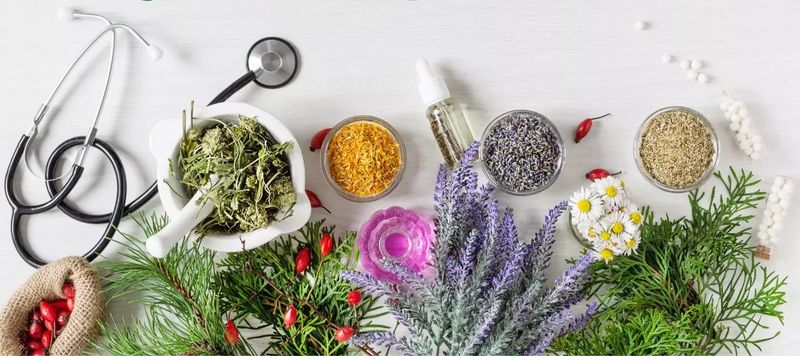 “DRAVYA” Portal to Catalogue 100 Ayush Substances in First Phase