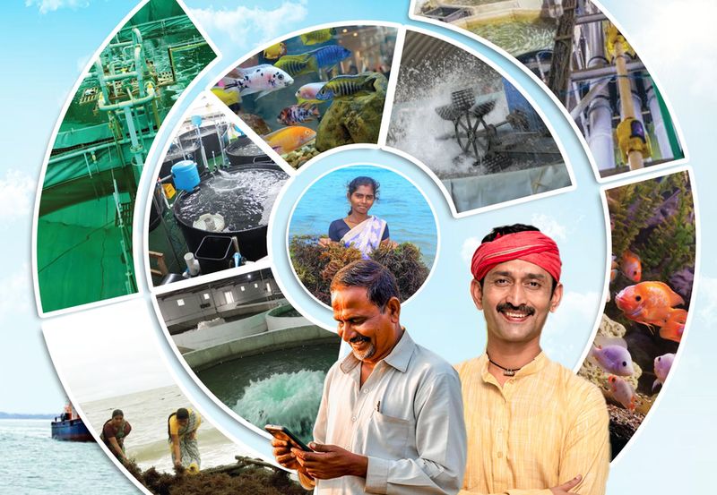 Fisheries start-up ecosystem India